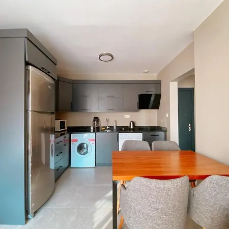 Oeluedeniz 1+1 Modern Summerhouse With Swimming Pool 费特希耶